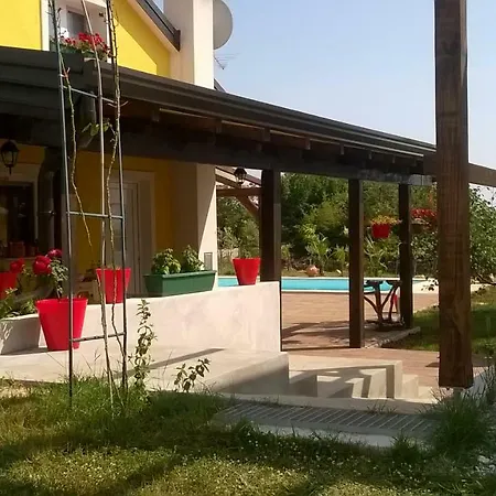 Paco Vikendica *