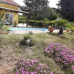 Vakantiehuis Paco Poreč