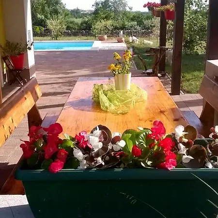Hébergement de vacances Paco *