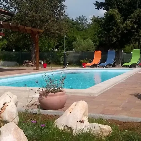 Paco Vikendica