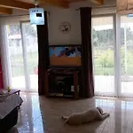 Paco *